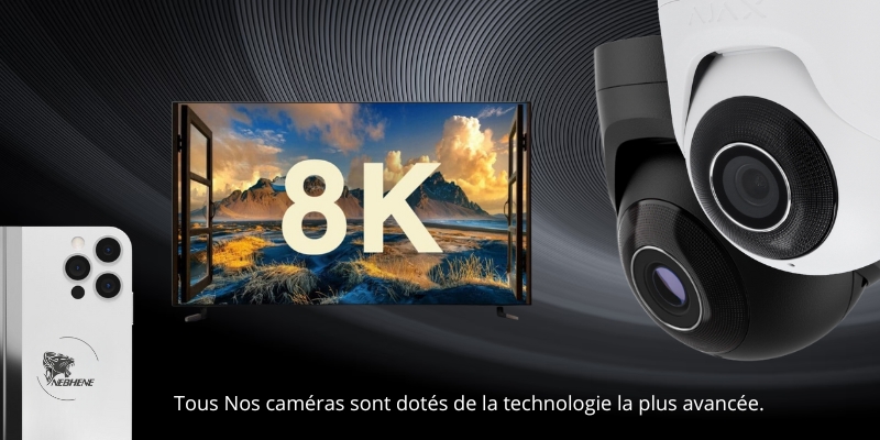 Système de sécurité : alarmes, vidéosurveillance et détecteurs de mouvement